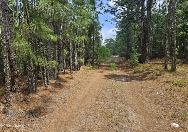 Homes for sale in Navassa, NC | 0 Phoenix Pkwy, Navassa, NC 28451 | MLS# 100587850