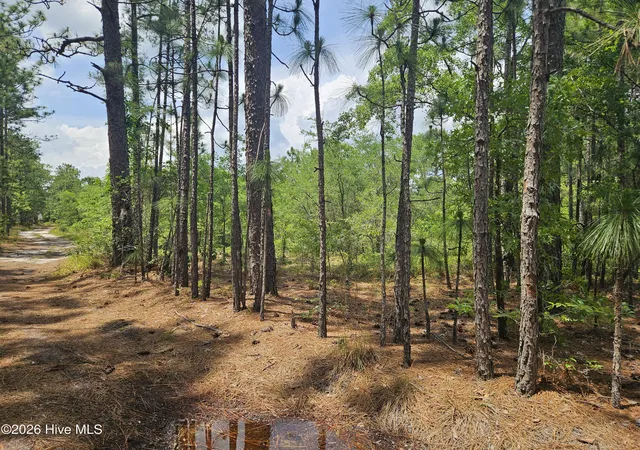 Homes for sale in Navassa, NC | 0 Phoenix Pkwy, Navassa, NC 28451 | MLS# 100587850