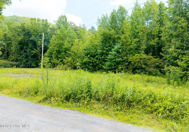 Photo 16 of Land for sale at Lots 9, 10, 11, 15 & 17 Mary Ln, Hayesville, NC 28904 | MLS# 98543671 | Listing updated on 2026-07-26
