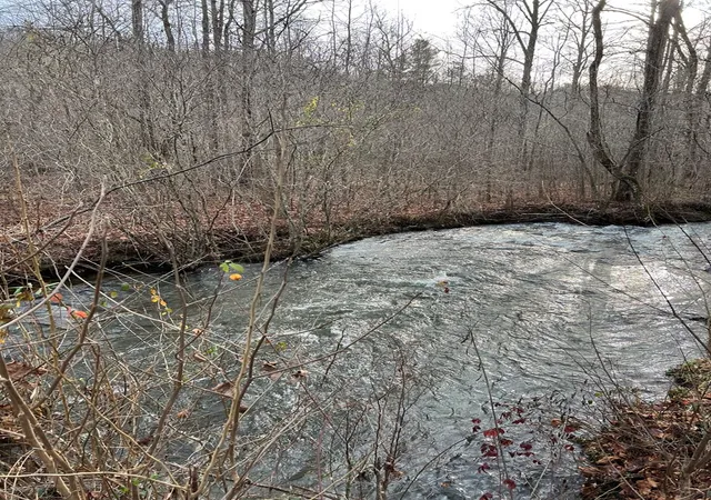 Photo 1 of Land for sale at Lots 9, 10, 11, 15 & 17 Mary Ln, Hayesville, NC 28904 | MLS# 98543671 | Listing updated on 2026-07-26