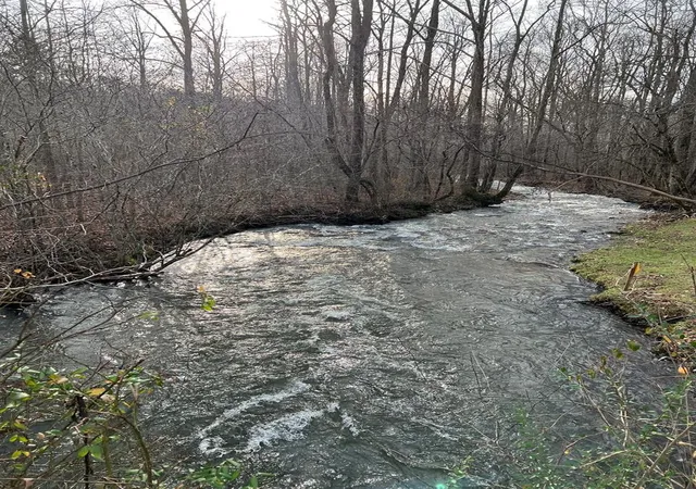 Photo 2 of Land for sale at Lots 9, 10, 11, 15 & 17 Mary Ln, Hayesville, NC 28904 | MLS# 98543671 | Listing updated on 2026-07-26