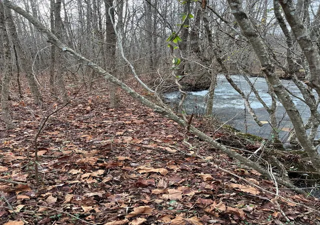 Photo 3 of Land for sale at Lots 9, 10, 11, 15 & 17 Mary Ln, Hayesville, NC 28904 | MLS# 98543671 | Listing updated on 2026-07-26