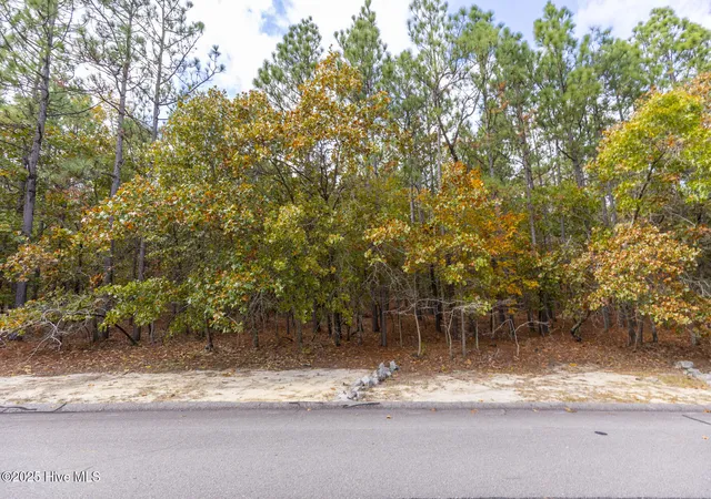 Homes for sale in West End, NC | 115 James Dr, West End, NC 27376 | MLS# 100538329