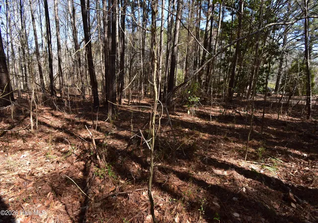 9th image of 4 Dobbs St, Halifax, NC 27839 | MLS# 100581216