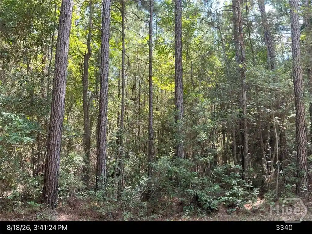 Photo 1 of Land for sale at 949 Us Hwy 80, Bloomingdale, GA 31302 | MLS# SA365312 | Listing updated on 2026-10-02