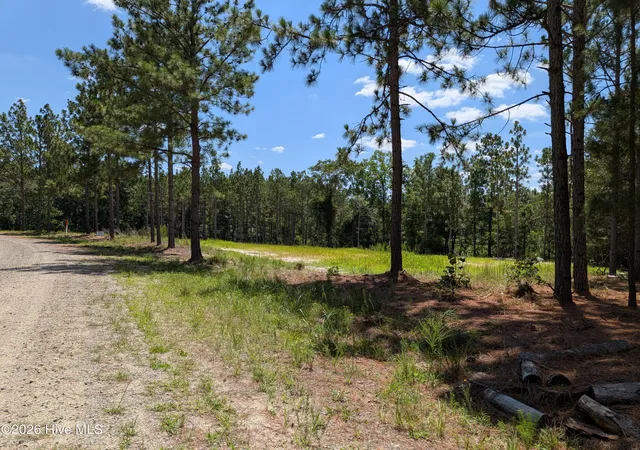 Photo 3 of Land for sale at 270 Charles Rd, Eagle Springs, NC 27242 | MLS# 100590980 | Listing updated on 2026-08-14
