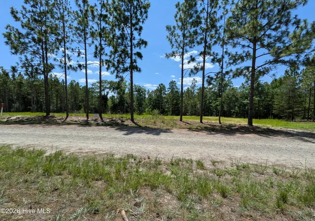 Photo 3 of Land for sale at 270 Charles Rd, Eagle Springs, NC 27242 | MLS# 100590980 | Listing updated on 2026-08-14