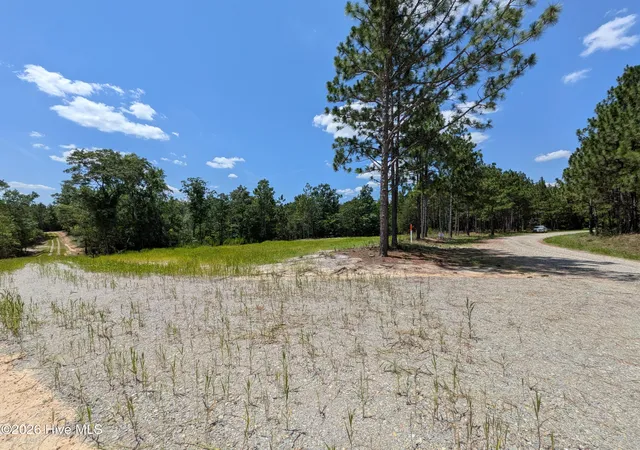 Photo 4 of Land for sale at 270 Charles Rd, Eagle Springs, NC 27242 | MLS# 100590980 | Listing updated on 2026-08-14