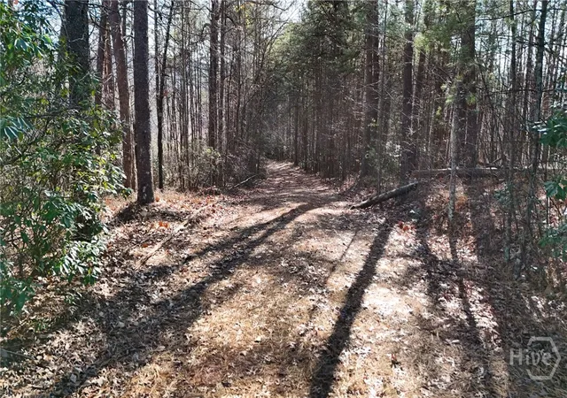 3rd image of 0 Gold Valley Rd, Sautee Nacoochee, GA 30571 | MLS# CL345737