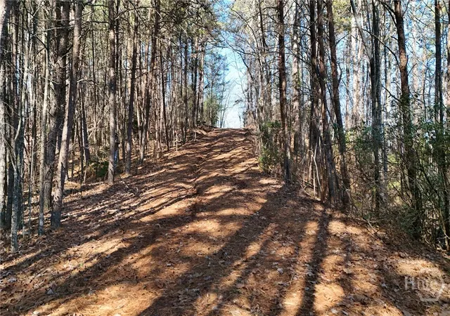 4th image of 0 Gold Valley Rd, Sautee Nacoochee, GA 30571 | MLS# CL345737