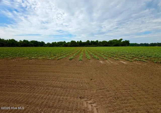 Photo 1 of Land for sale at 478 Davis Ml Rd, Fremont, NC 27830 | MLS# 100588618 | Listing updated on 2026-08-18