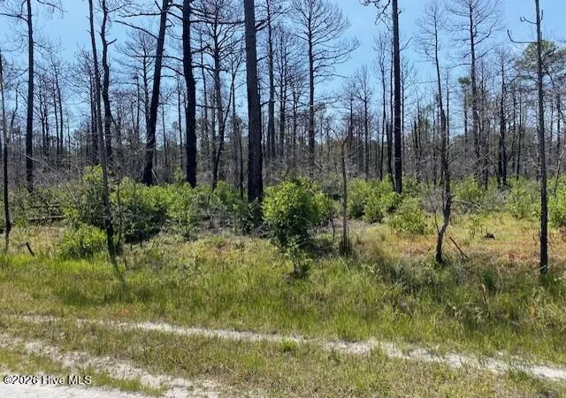 1st image of 799 Jasmine Rd, Southport, NC 28461 | MLS# 100586307