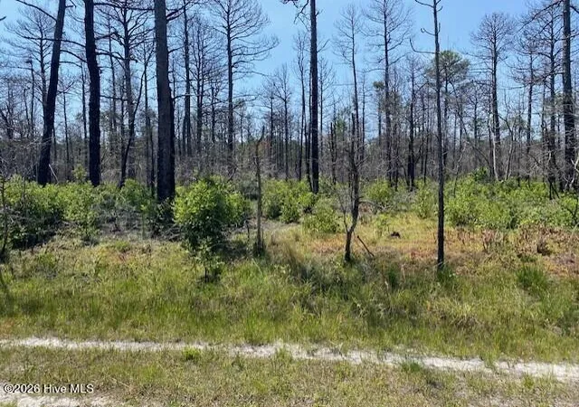 2nd image of 799 Jasmine Rd, Southport, NC 28461 | MLS# 100586307