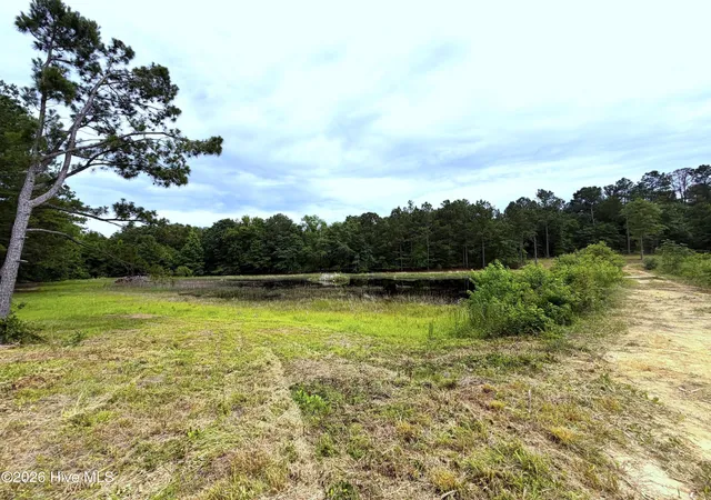 Homes for sale in Blythe, GA | 1080 Blythe Rd, Blythe, GA 30805 | MLS# 100582280