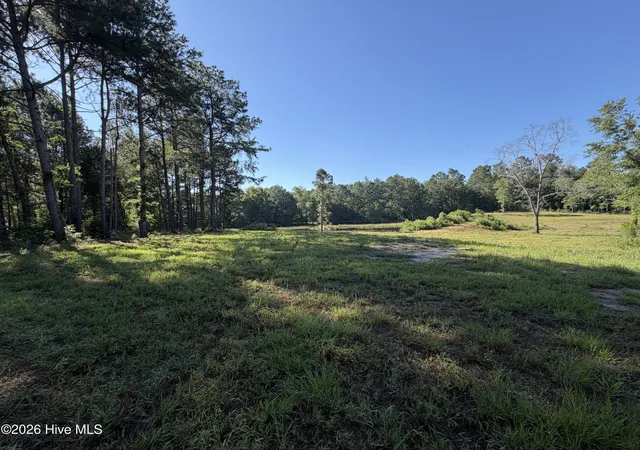 Homes for sale in Blythe, GA | 1080 Blythe Rd, Blythe, GA 30805 | MLS# 100582280