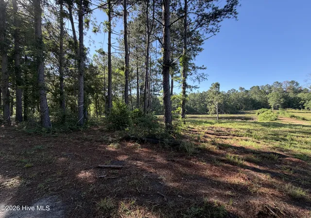 Homes for sale in Blythe, GA | 1080 Blythe Rd, Blythe, GA 30805 | MLS# 100582280