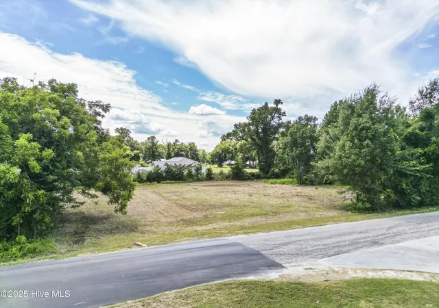 Homes for sale in Lake Waccamaw, NC | 103 Top Tobacco Rd, Lake Waccamaw, NC 28450 | MLS# 100528084