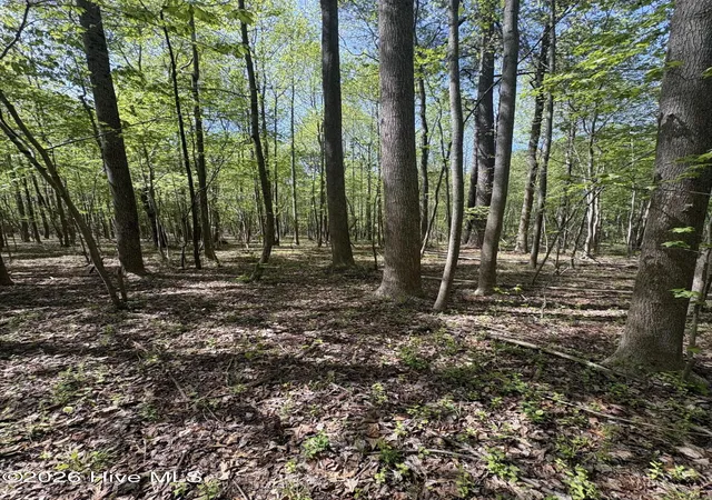 Photo 3 of Land for sale at 7818-1 Mcgregor Rd, Nashville, NC 27856 | MLS# 100570602 | Listing updated on 2026-05-20