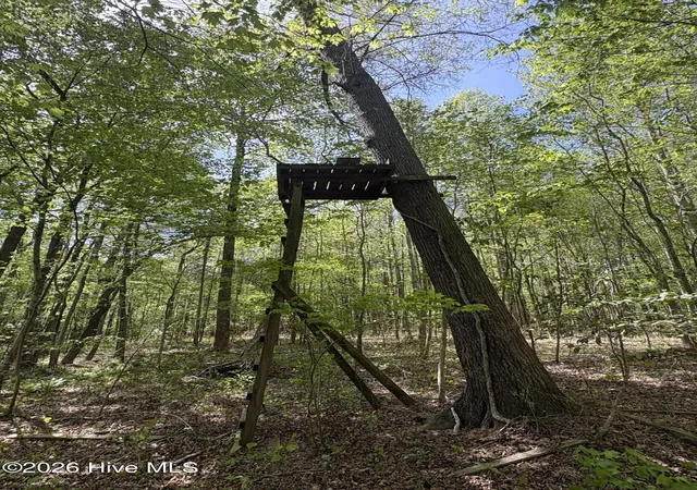 Photo 4 of Land for sale at 7818-1 Mcgregor Rd, Nashville, NC 27856 | MLS# 100570602 | Listing updated on 2026-05-20