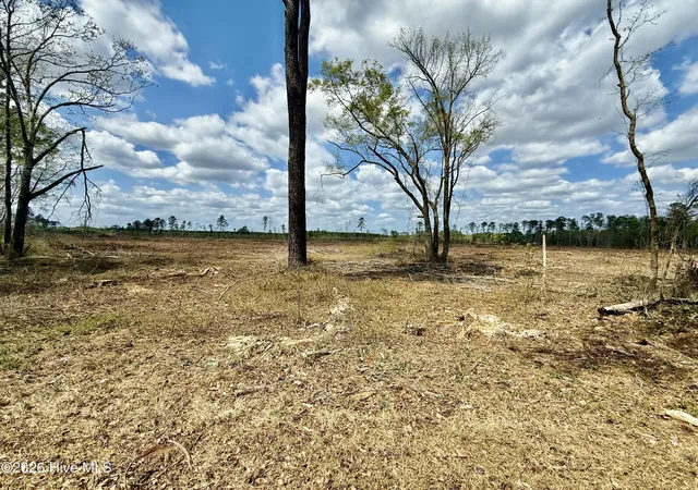 Photo 1 of Land for sale at Tbd Old Lowery Rd, Red Springs, NC 28377 | MLS# 100565778 | Listing updated on 2026-08-21