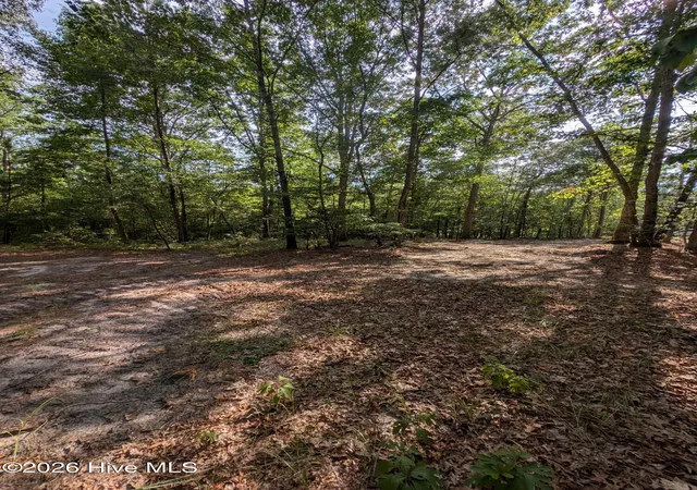 Photo 1 of Land for sale at Tbd Peyton Dr, Eagle Springs, NC 27242 | MLS# 100591252 | Listing updated on 2026-07-29