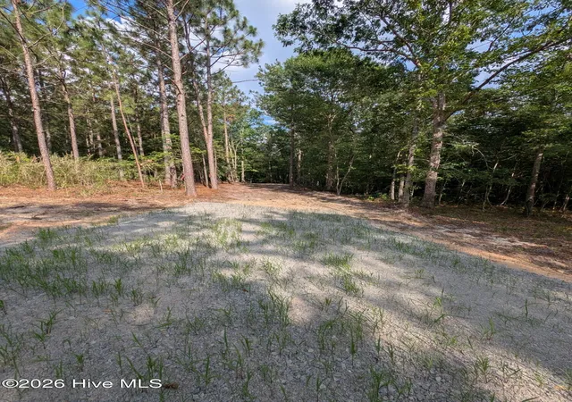 Photo 2 of Land for sale at Tbd Peyton Dr, Eagle Springs, NC 27242 | MLS# 100591252 | Listing updated on 2026-07-29