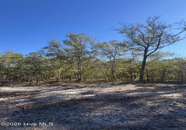 1st image of Lot 205 Coral Gull St, Winnabow, NC 28479 | MLS# 100586942