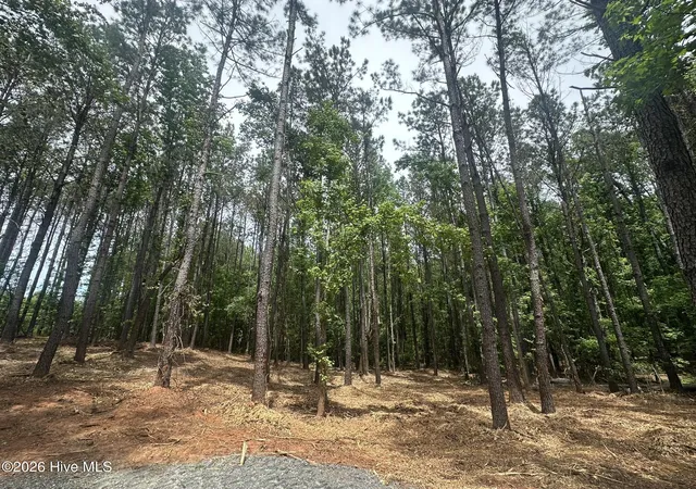5th image of Lot E Ridge Rd, Appling, GA 30802 | MLS# 100574442