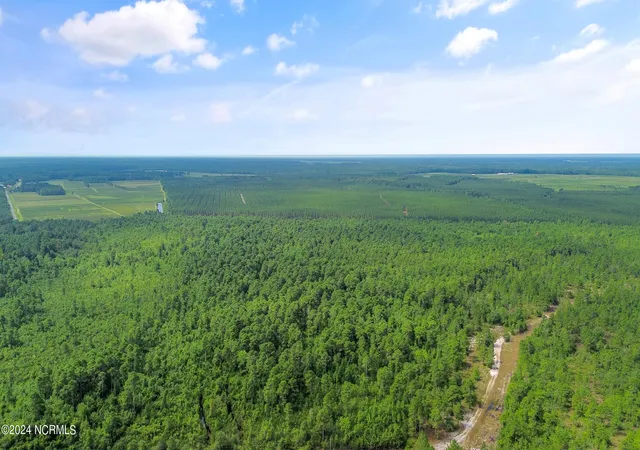 Photo 15 of Land for sale at 1 Lizzie Henry Rd, Ivanhoe, NC 28447 | MLS# 100551625 | Listing updated on 2026-07-24