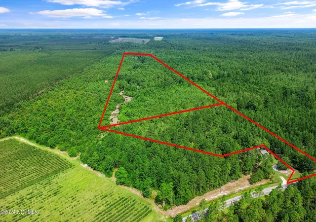Photo 4 of Land for sale at 1 Lizzie Henry Rd, Ivanhoe, NC 28447 | MLS# 100551625 | Listing updated on 2026-07-24