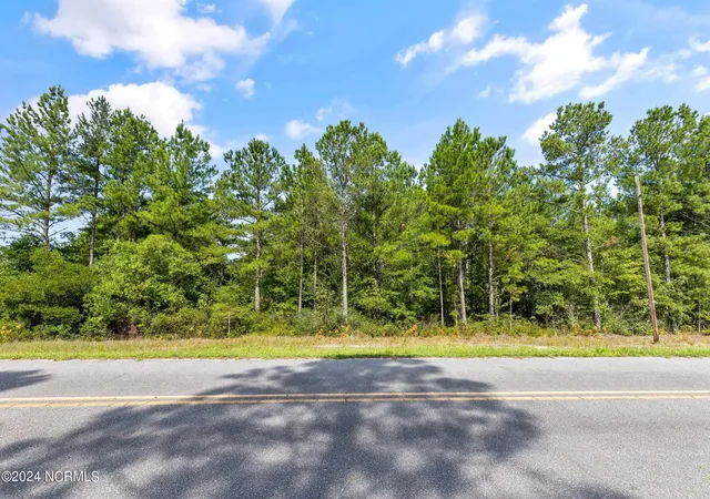Photo 2 of Land for sale at 1 Lizzie Henry Rd, Ivanhoe, NC 28447 | MLS# 100551625 | Listing updated on 2026-07-24