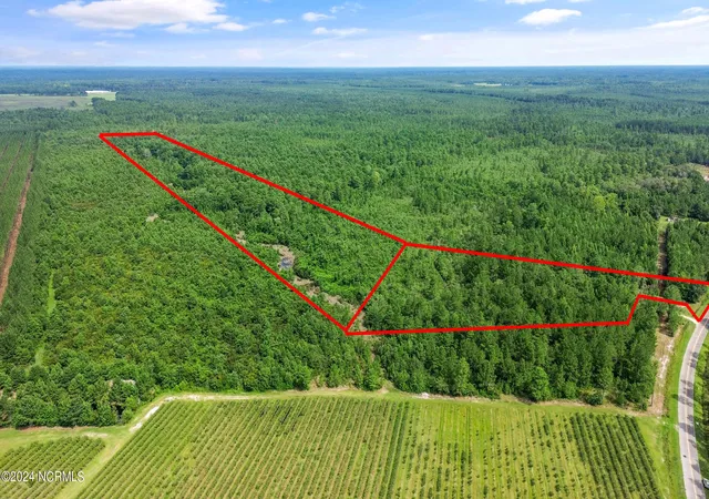 Photo 5 of Land for sale at 1 Lizzie Henry Rd, Ivanhoe, NC 28447 | MLS# 100551625 | Listing updated on 2026-07-24