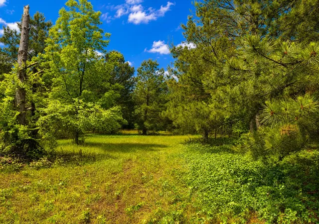 Photo 4 of House for sale at 8 Cross Country Ln, Trenton, SC 29847 | MLS# 98257246 | Listing updated on 2026-08-18