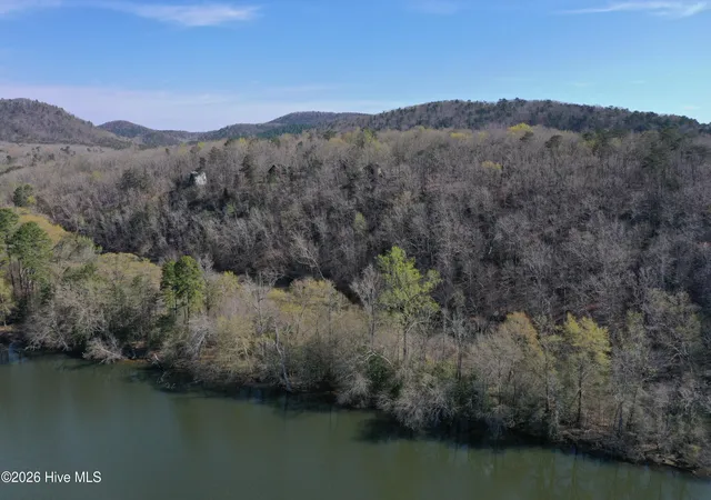 Homes for sale in Troy, NC | Tbd Haltiwanger Retreat Rd, Troy, NC 27371 | MLS# 100584241