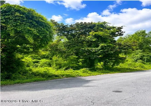 Photo 3 of Land for sale at 110 Darden St, Jacksonville, NC 28540 | MLS# 100594492 | Listing updated on 2026-08-06