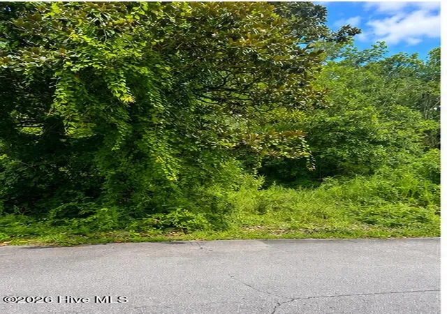 Photo 4 of Land for sale at 110 Darden St, Jacksonville, NC 28540 | MLS# 100594492 | Listing updated on 2026-08-06