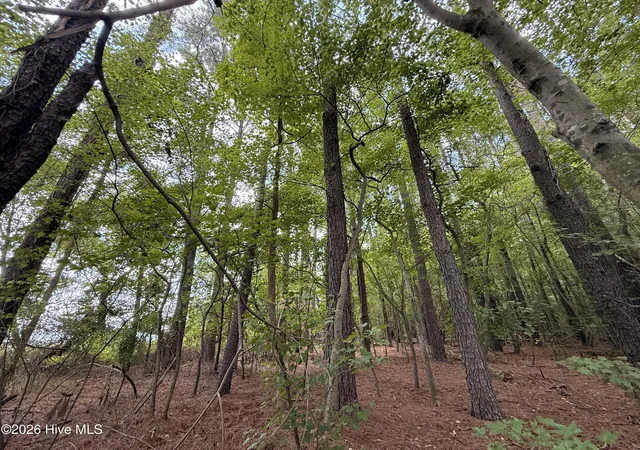 Photo 3 of Land for sale at Lot 2b Holland Rd, Greenville, NC 27834 | MLS# 100599703 | Listing updated on 2026-09-01