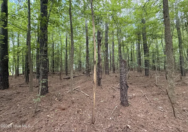 Photo 3 of Land for sale at Lot 2B Holland Rd, Greenville, NC 27834 | MLS# 100599703 | Listing updated on 2026-09-01