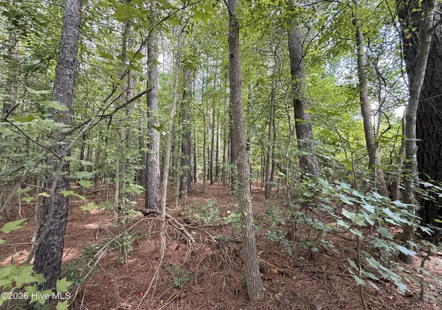 Photo 4 of Land for sale at Lot 2B Holland Rd, Greenville, NC 27834 | MLS# 100599703 | Listing updated on 2026-09-01