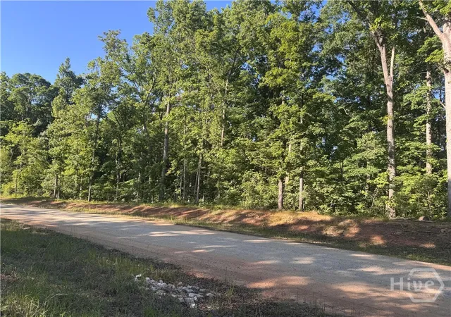 Homes for sale in Athens, GA | 3 Curry Falls Trail Rd #3, Athens, GA 30607 | MLS# CL354735
