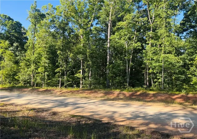Homes for sale in Athens, GA | 3 Curry Falls Trail Rd #3, Athens, GA 30607 | MLS# CL354735