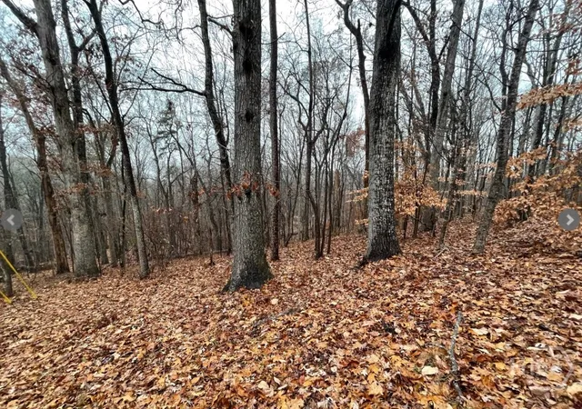 Homes for sale in Westminster, SC | Lot 2134 S Arrowhead Dr, Westminster, SC 29693 | MLS# CL344939