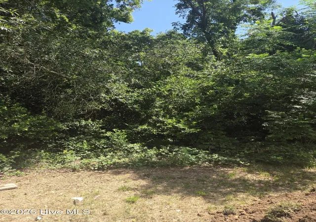 Photo 4 of Land for sale at Tbd N Skipper St, Rockingham, NC 28379 | MLS# 100589288 | Listing updated on 2026-08-18