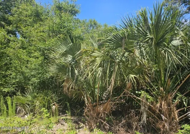 Photo 3 of Land for sale at 6 Red Bay Ct, Bald Head Island, NC 28461 | MLS# 100557811 | Listing updated on 2026-03-06