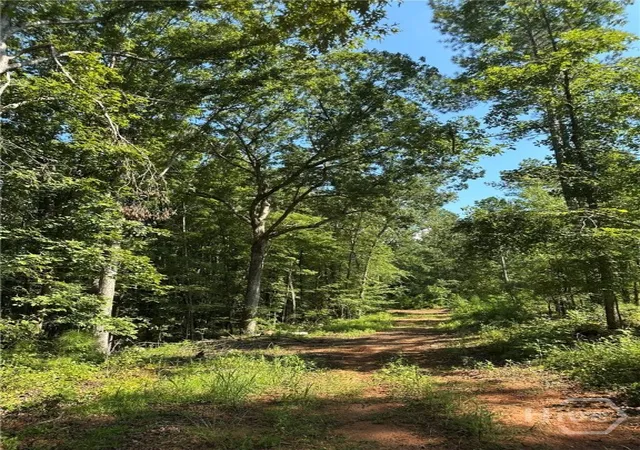 Photo 1 of Land for sale at 00 Fears, Madison, GA 30650 | MLS# CL344238 | Listing updated on 2026-02-26