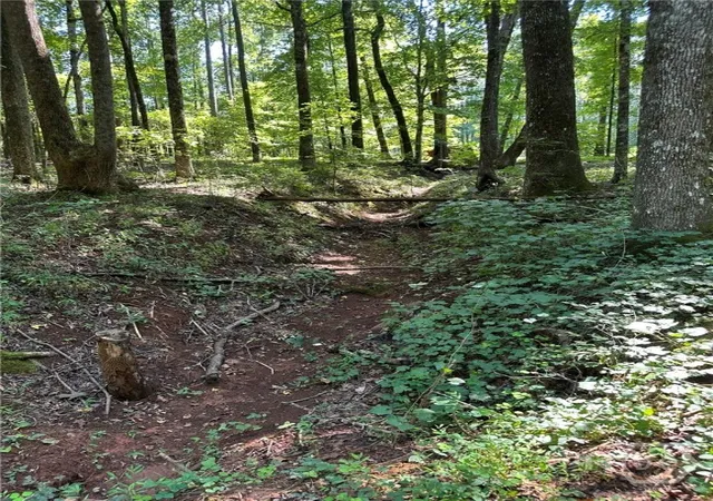 Photo 2 of Land for sale at 00 Fears, Madison, GA 30650 | MLS# CL344238 | Listing updated on 2026-02-26