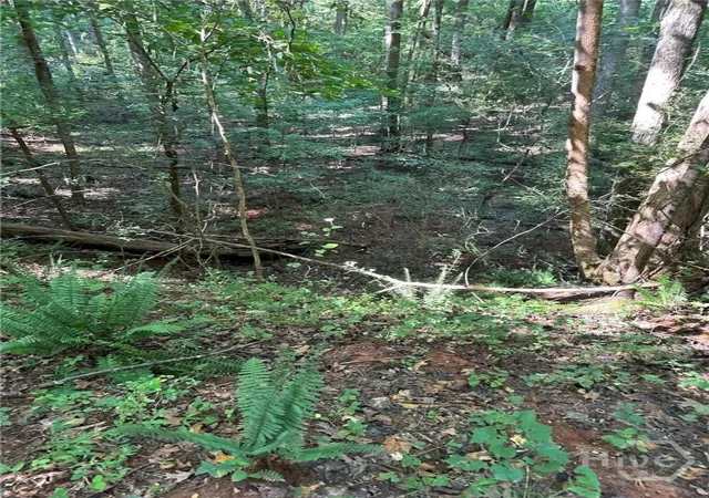 Photo 3 of Land for sale at 00 Fears, Madison, GA 30650 | MLS# CL344238 | Listing updated on 2026-02-26