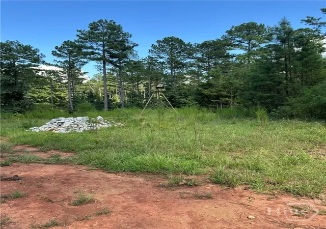 Photo 3 of Land for sale at 00 Fears, Madison, GA 30650 | MLS# CL344238 | Listing updated on 2026-02-26