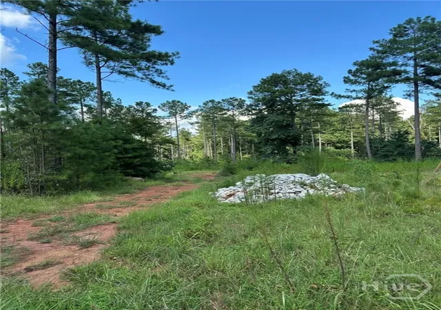 Photo 4 of Land for sale at 00 Fears, Madison, GA 30650 | MLS# CL344238 | Listing updated on 2026-02-26
