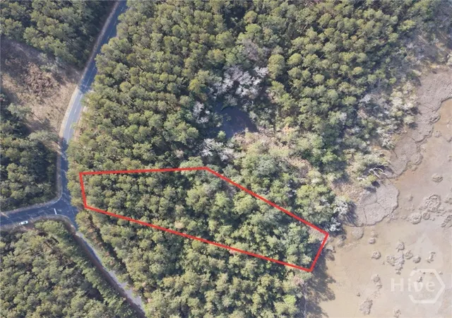 Photo 3 of Land for sale at Lot Ne 45 Marsh Way W, Townsend, GA 31331 | MLS# SA344639 | Listing updated on 2025-12-05